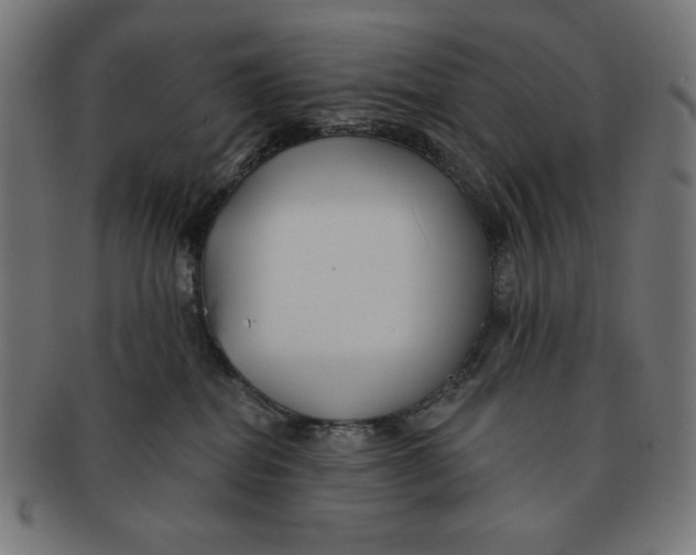 X0000091170282200709060940