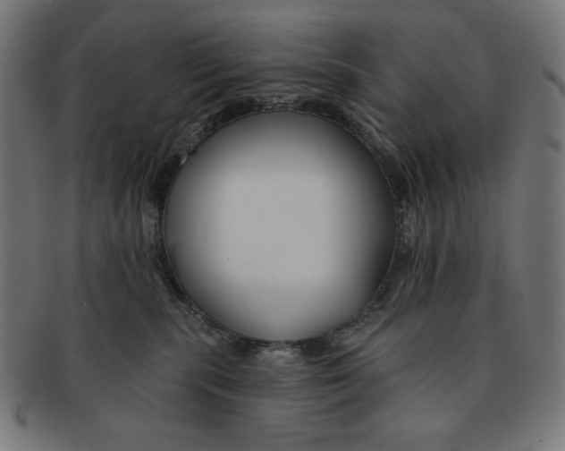 X0000091170283200709060940