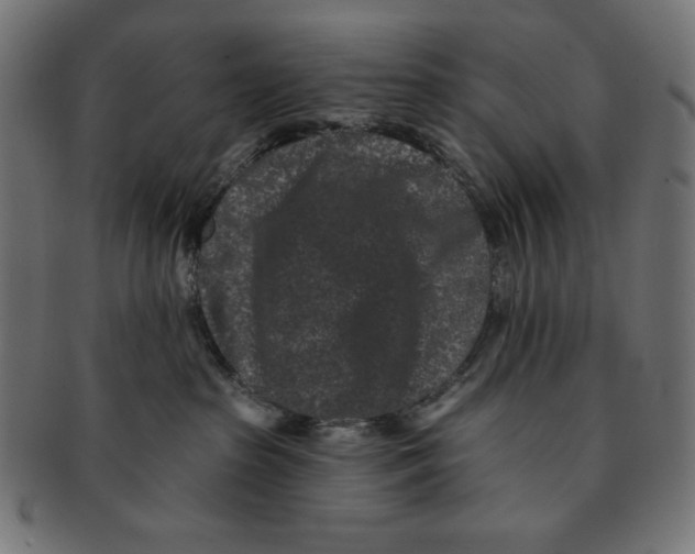 X0000091170285200709060940