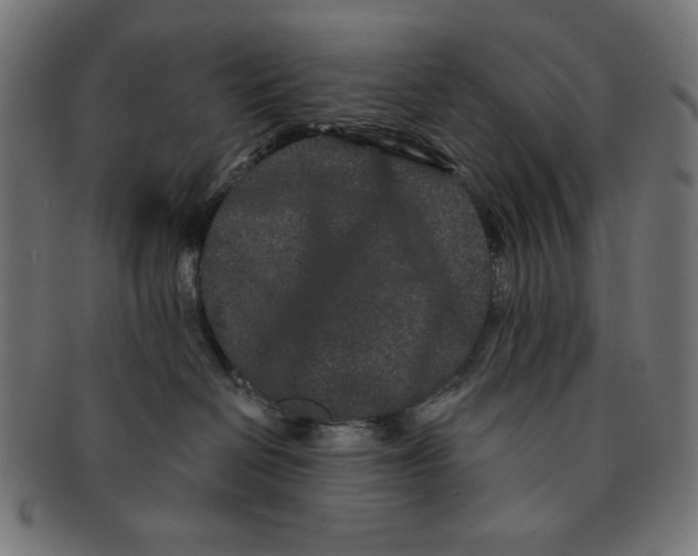 X0000091170286200709060940