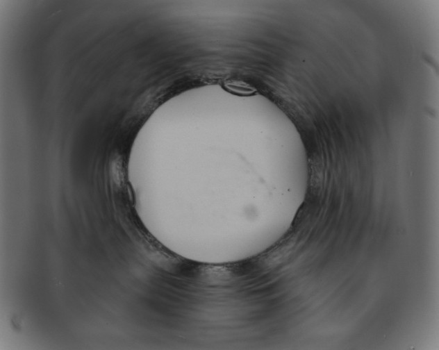 X0000091170287200709060940