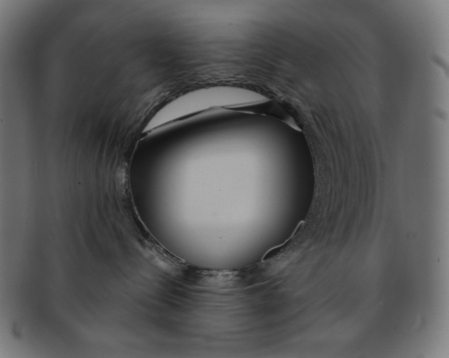 X0000091170288200709060940