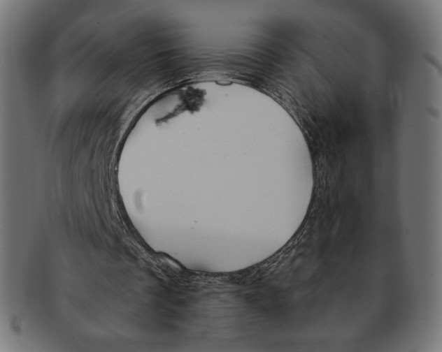X0000091170289200709060939