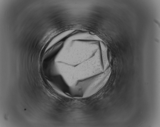 X0000091170290200709060939