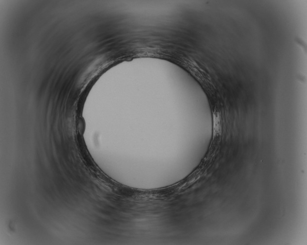 X0000091170291200709060939