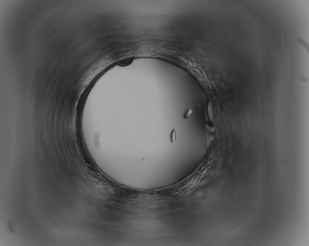 X0000091170292200709060939