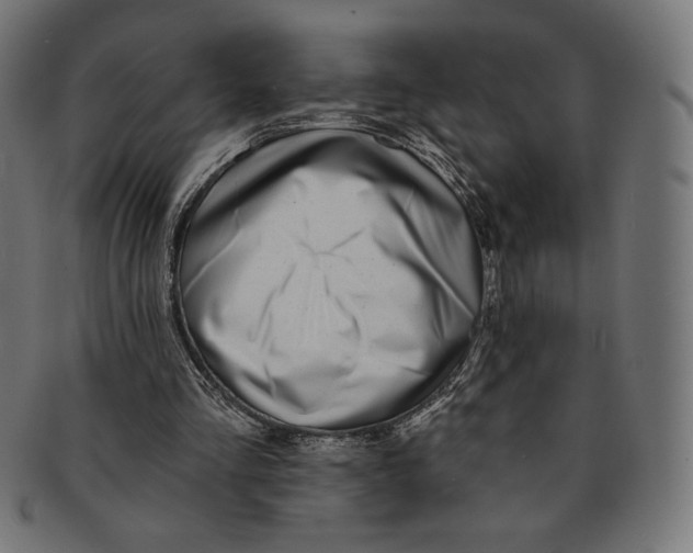 X0000091170293200709060939