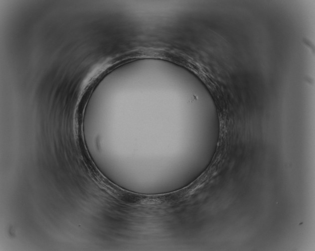 X0000091170294200709060939