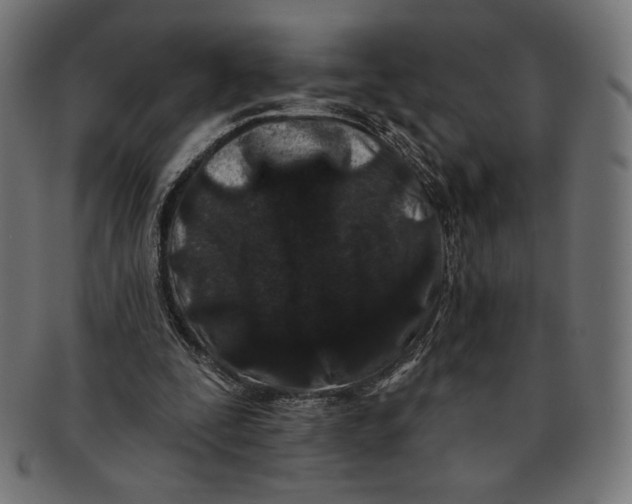 X0000091170295200709060939