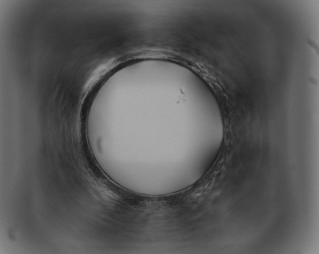 X0000091170296200709060939