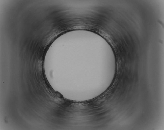 X0000091170297200709060939