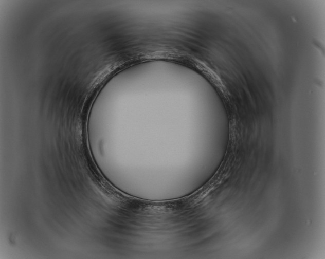 X0000091170298200709060939