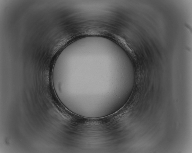 X0000091170299200709060939