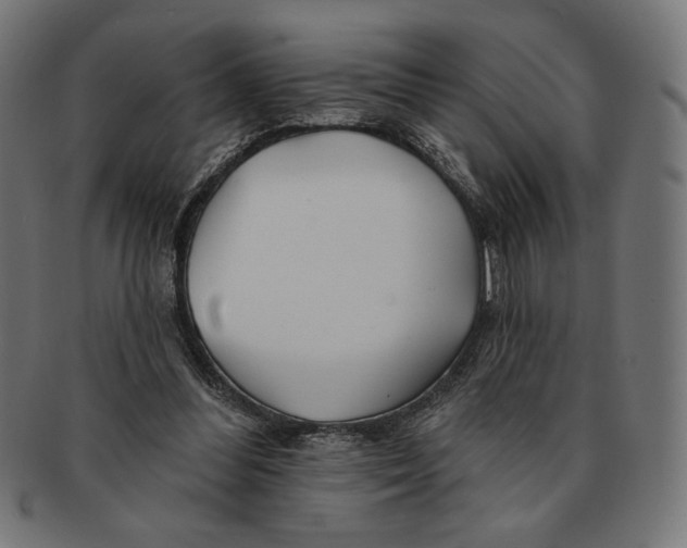 X0000091170300200709060939