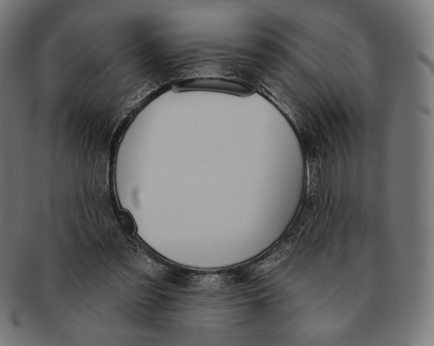X0000091170301200709060939