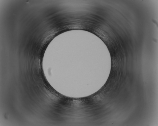 X0000091170302200709060939