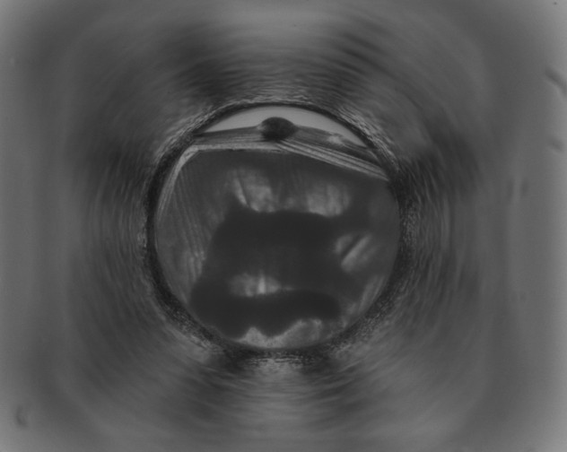 X0000091170303200709060939