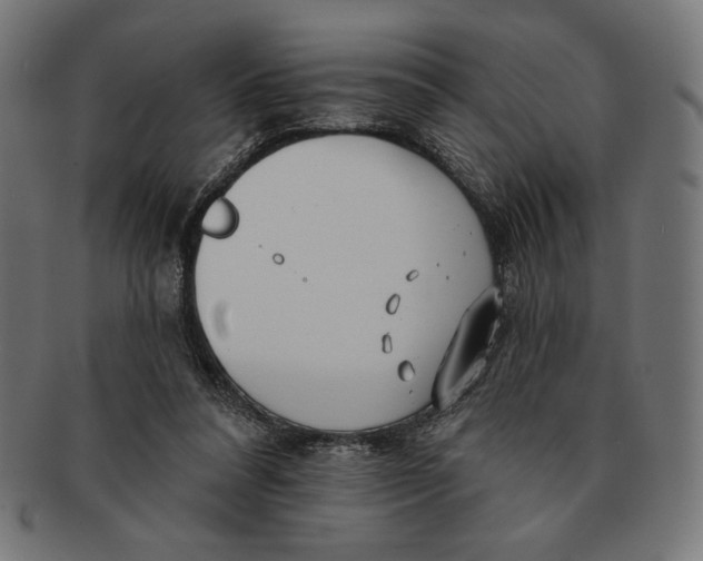 X0000091170304200709060939