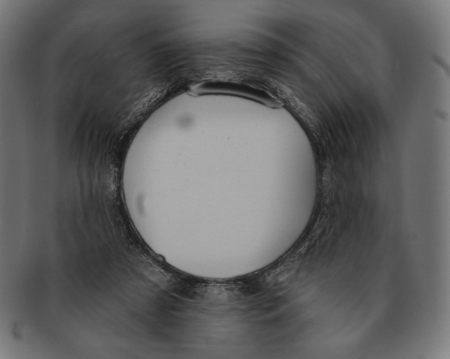 X0000091170305200709060939