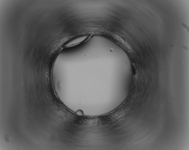 X0000091170306200709060939