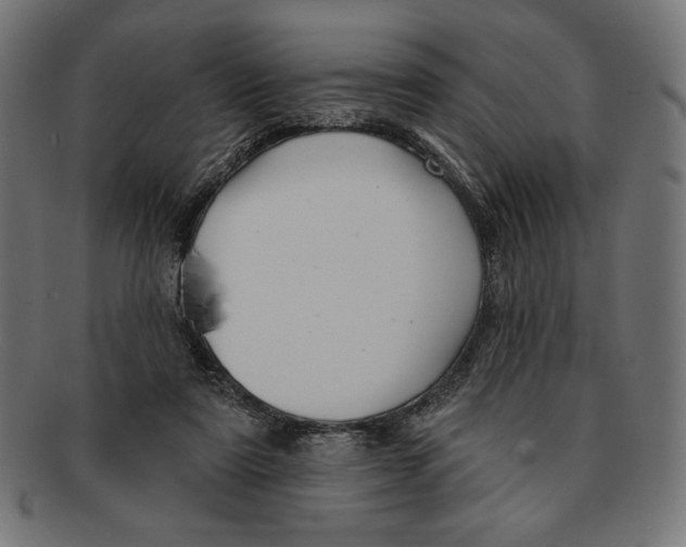 X0000091170307200709060939