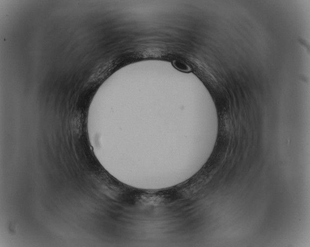 X0000091170311200709060939