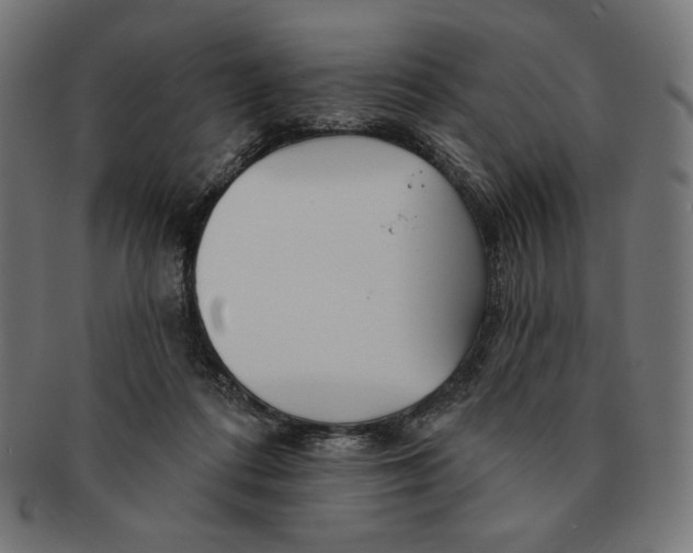 X0000091170312200709060939