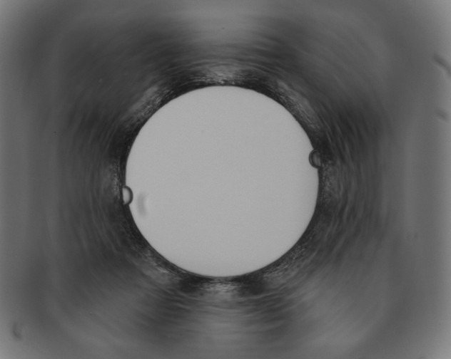 X0000091170313200709060939