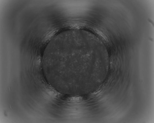 X0000091170314200709060939