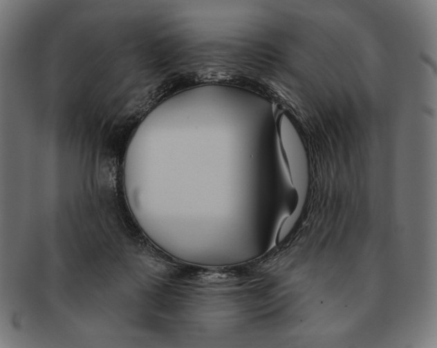 X0000091170315200709060939
