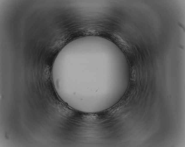 X0000091170318200709060939