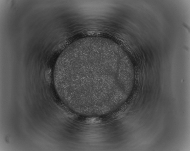 X0000091170319200709060939