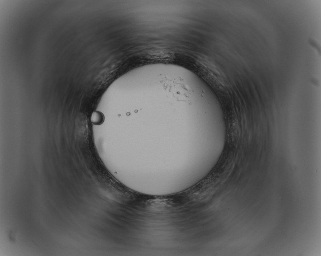 X0000091170320200709060939