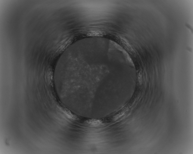 X0000091170322200709060939