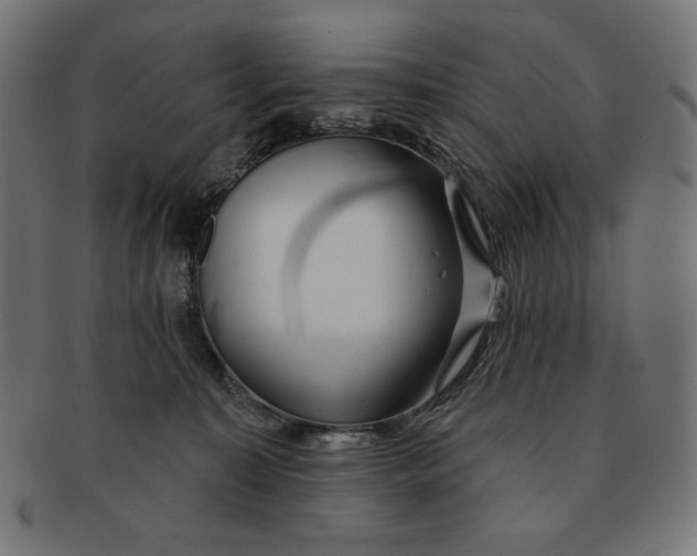 X0000091170323200709060939