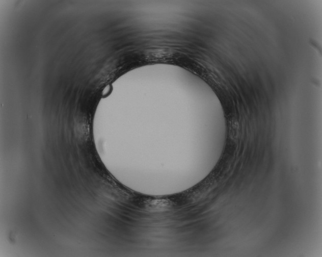 X0000091170324200709060939