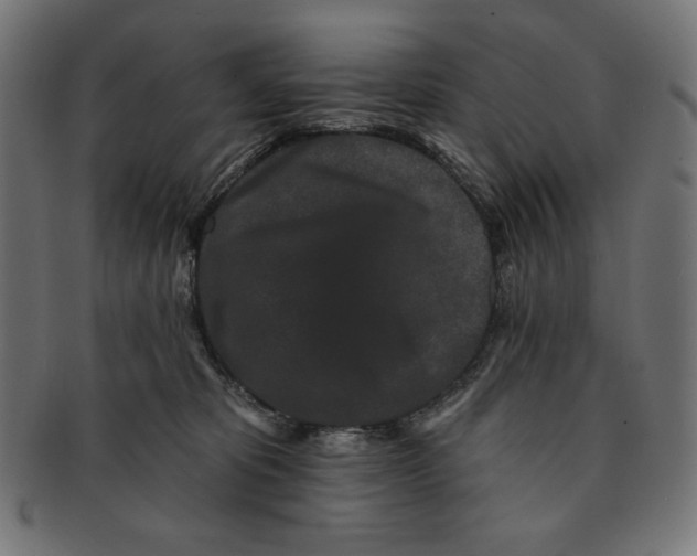 X0000091170325200709060939