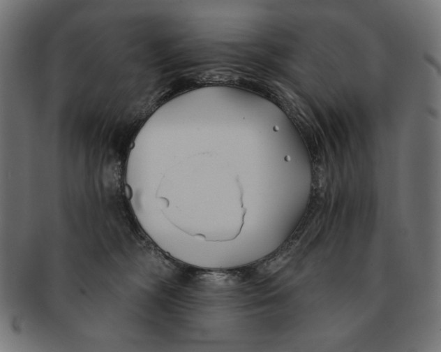 X0000091170326200709060939
