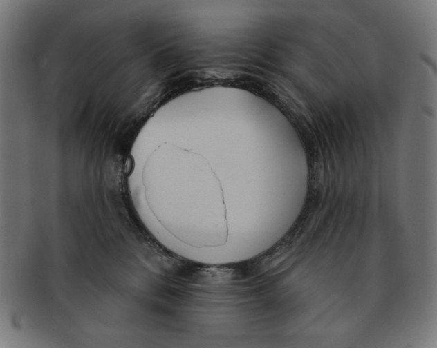 X0000091170328200709060939