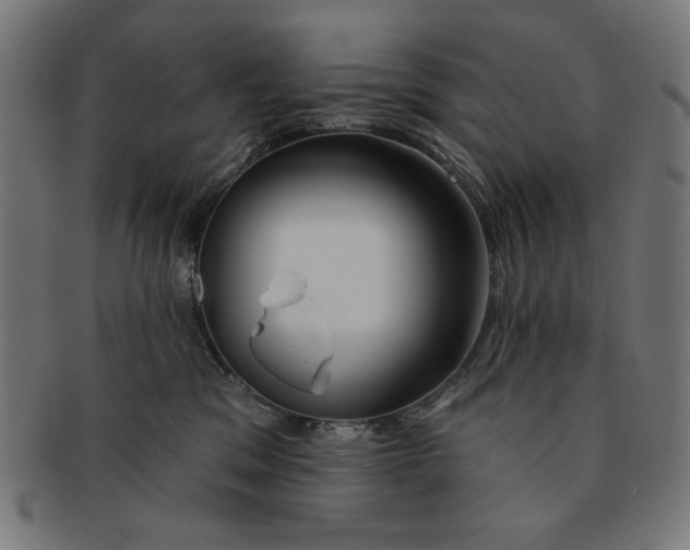 X0000091170329200709060939