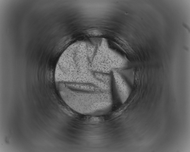 X0000091170330200709060939