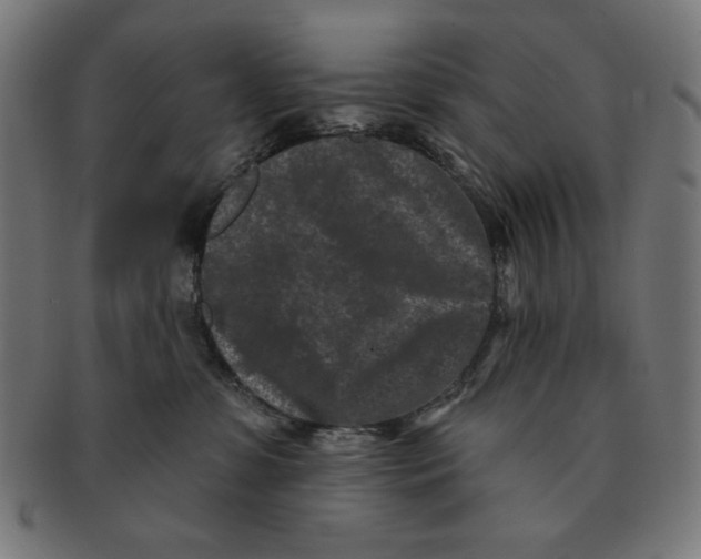 X0000091170331200709060939