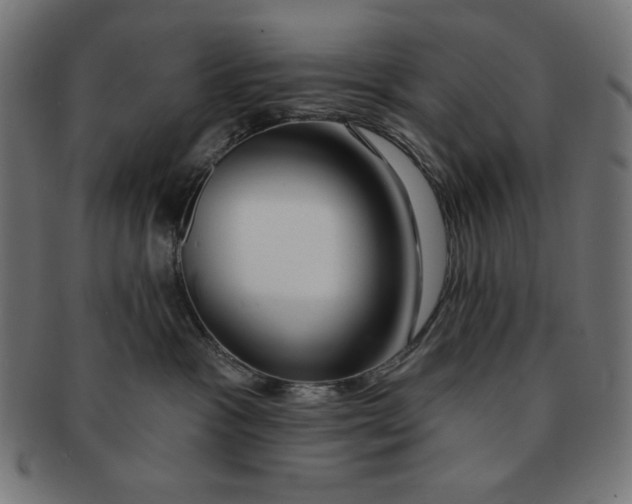 X0000091170333200709060939