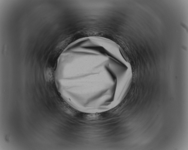 X0000091170335200709060939