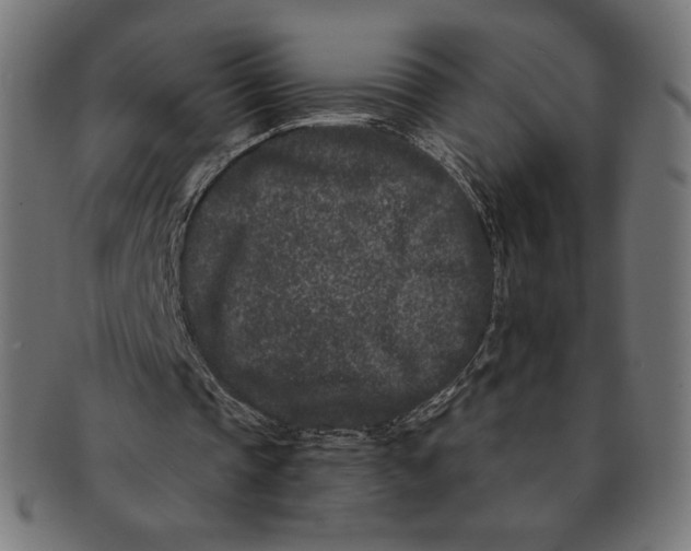 X0000091170337200709060938