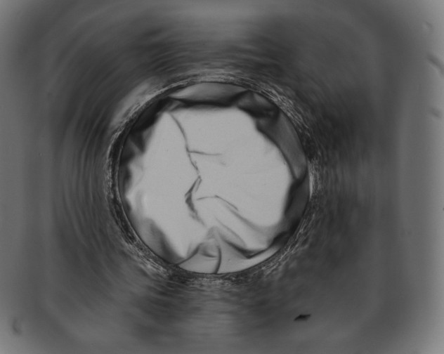 X0000091170339200709060938