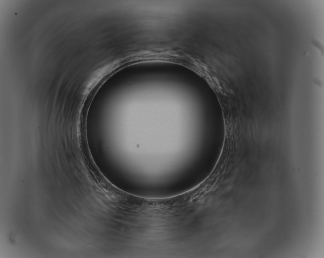 X0000091170340200709060938