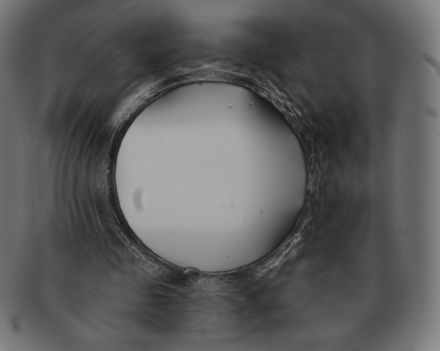 X0000091170341200709060938