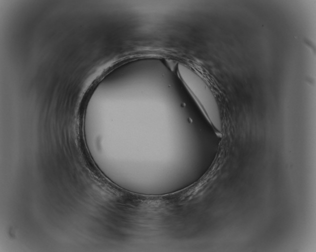X0000091170342200709060938