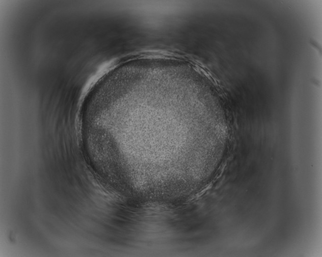 X0000091170343200709060938